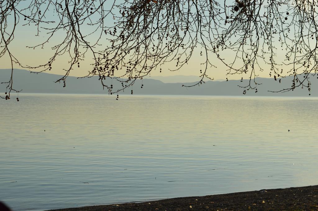 Vila Sara Ohrid Ngoại thất bức ảnh