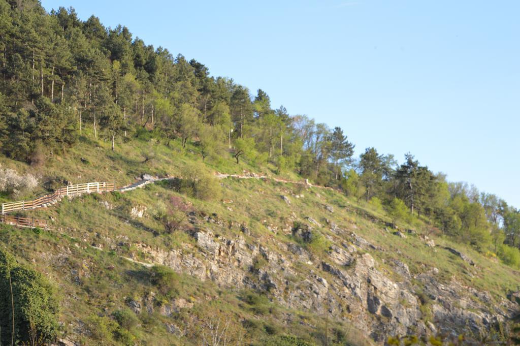Vila Sara Ohrid Ngoại thất bức ảnh